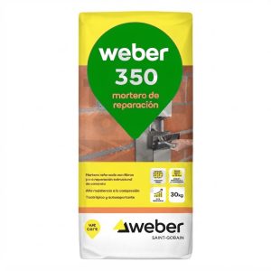 WEBER 350
